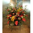 東京都立川市三田花店の花　御祝花