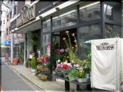 東京都立川市の花屋　三田花店
