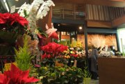 東京都立川市の花屋　三田花店